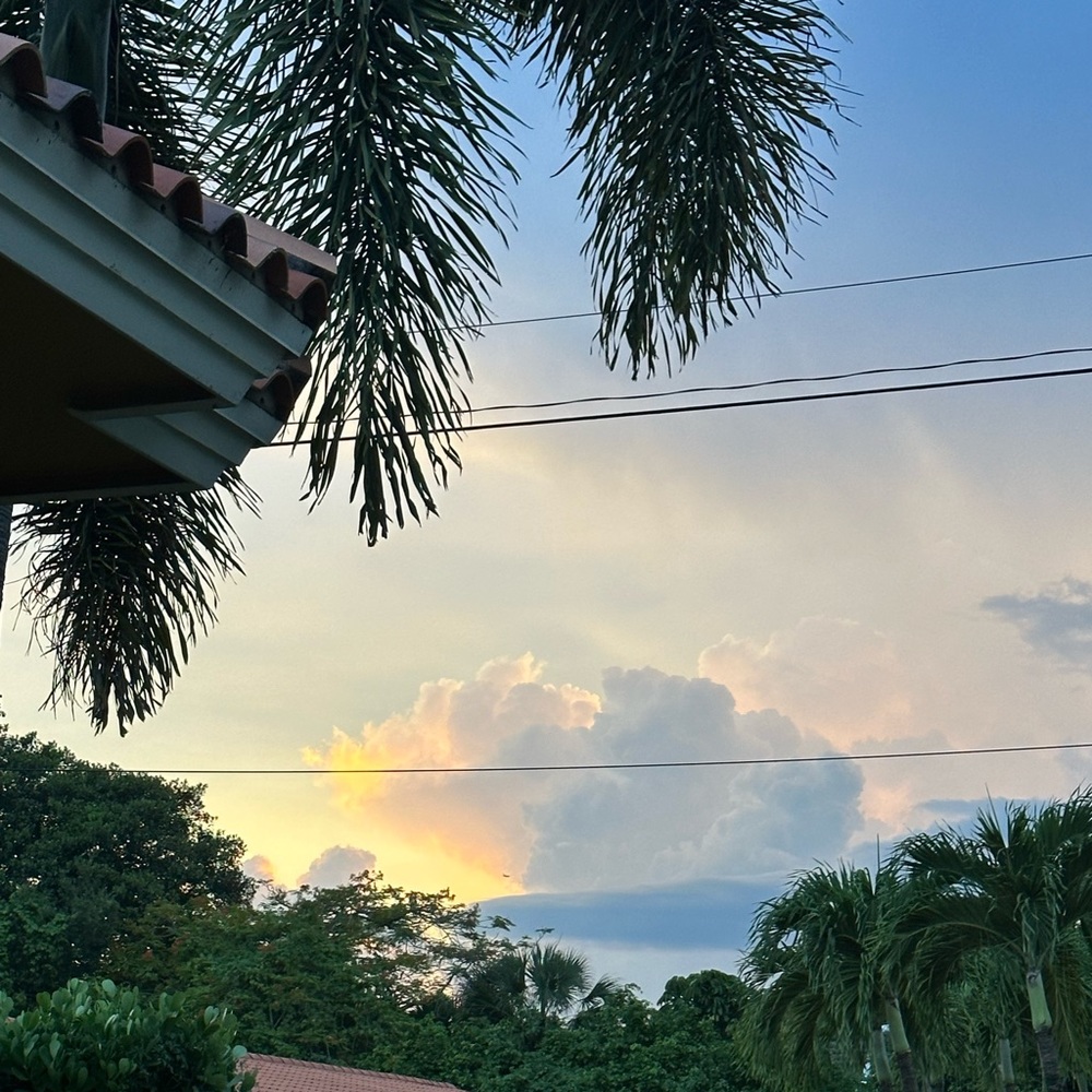 Bare Minimale Cabbage Patch Bikini Set